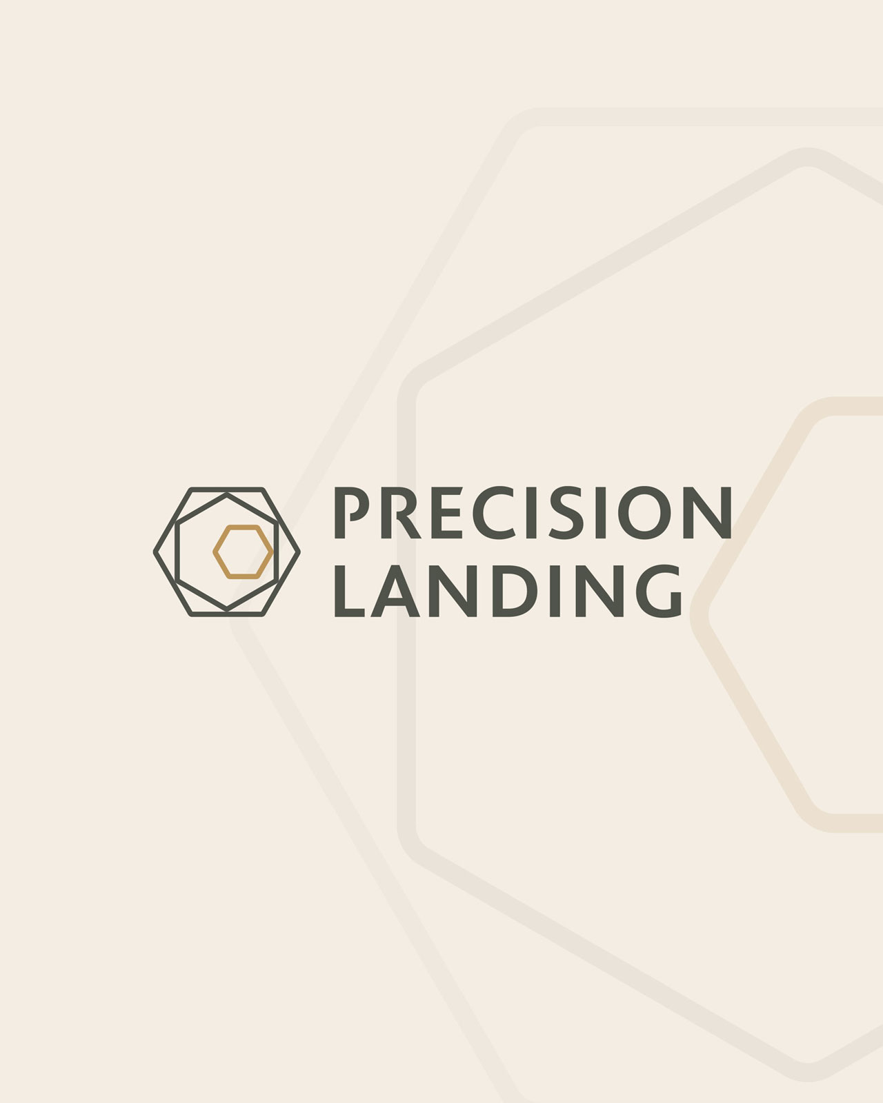 Precision Landing Logo auf beigem Hintergund Precision Landing Logo auf beigem Hintergund